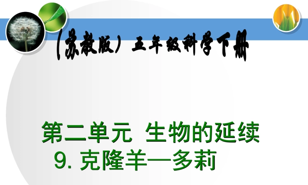 冀教小学科学五下册《9克隆羊—多莉》ppt课件【加微信公众号 jiaoxuewuyou 九折优惠qq 1119139686】.ppt