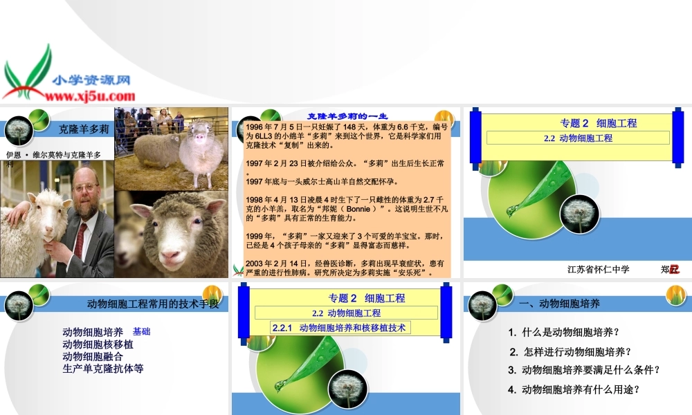 冀教小学科学五下册《9克隆羊—多莉》ppt课件【加微信公众号 jiaoxuewuyou 九折优惠qq 1119139686】.ppt