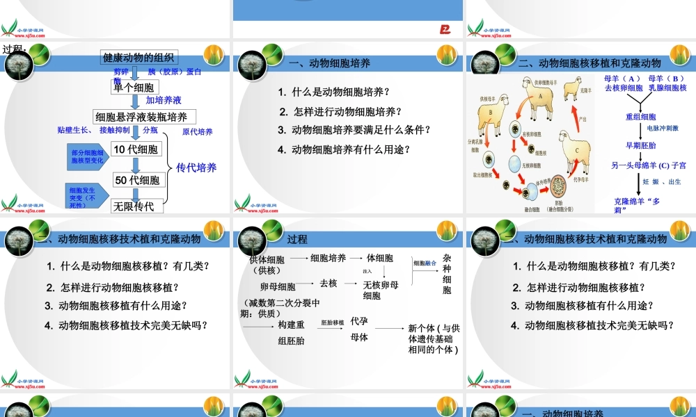 冀教小学科学五下册《9克隆羊—多莉》ppt课件【加微信公众号 jiaoxuewuyou 九折优惠qq 1119139686】.ppt