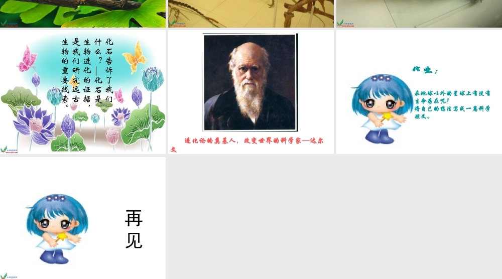 冀教小学科学五下册《10生命从哪里来》ppt课件【加微信公众号 jiaoxuewuyou 九折优惠qq 1119139686】.ppt