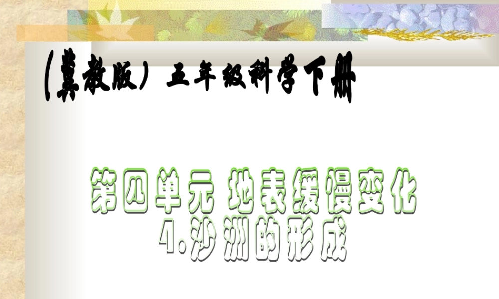 冀教小学科学五下册《14沙洲的形成》ppt课件【加微信公众号 jiaoxuewuyou 九折优惠qq 1119139686】.ppt