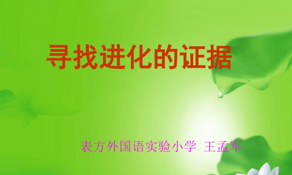 冀教小学科学五下册《11寻找进化的证据》ppt课件 (2)【加微信公众号 jiaoxuewuyou 九折优惠qq 1119139686】.ppt