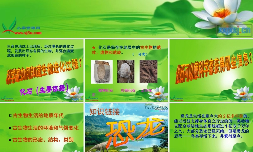 冀教小学科学五下册《11寻找进化的证据》ppt课件 (2)【加微信公众号 jiaoxuewuyou 九折优惠qq 1119139686】.ppt