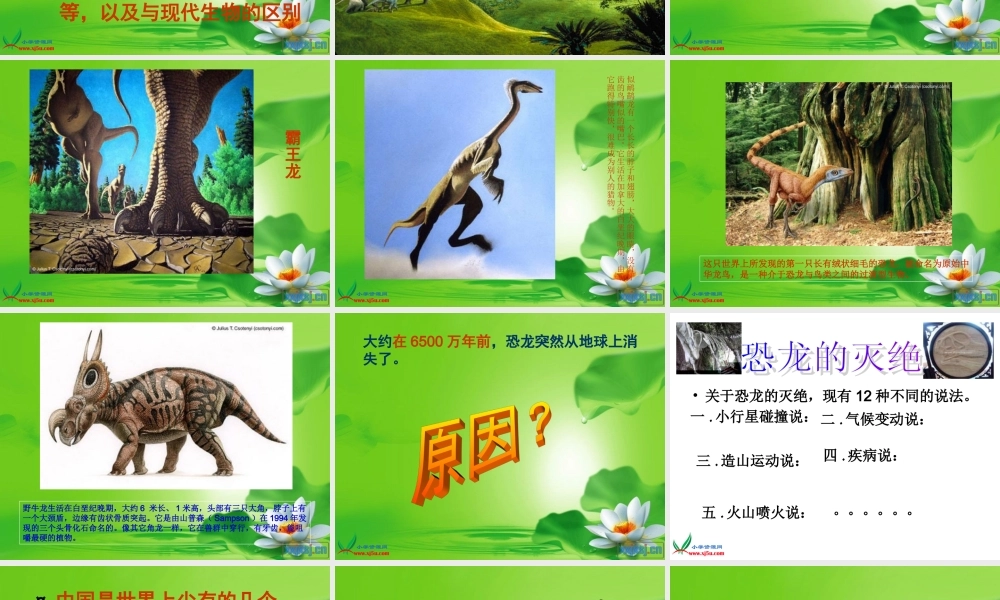 冀教小学科学五下册《11寻找进化的证据》ppt课件 (2)【加微信公众号 jiaoxuewuyou 九折优惠qq 1119139686】.ppt