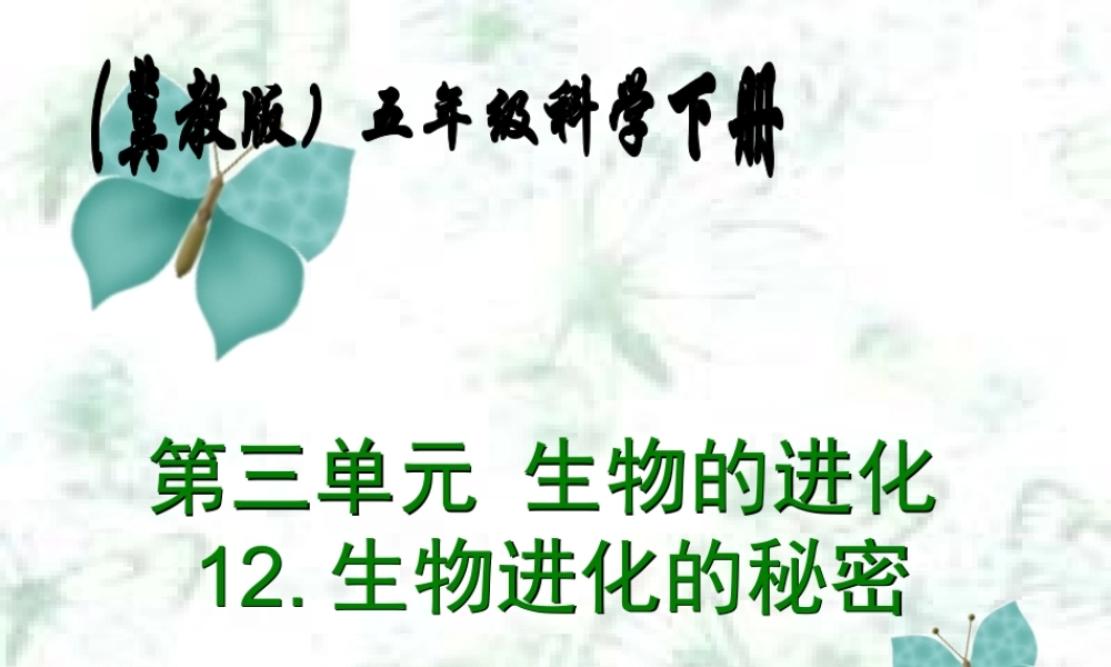 冀教小学科学五下册《12生物进化的秘密》ppt课件【加微信公众号 jiaoxuewuyou 九折优惠qq 1119139686】.ppt