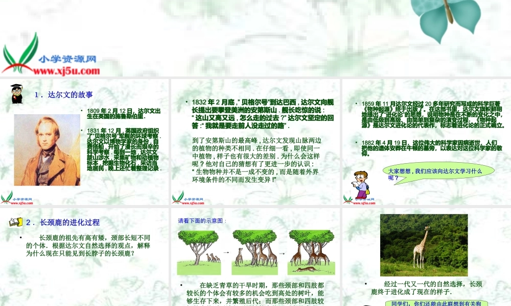 冀教小学科学五下册《12生物进化的秘密》ppt课件【加微信公众号 jiaoxuewuyou 九折优惠qq 1119139686】.ppt