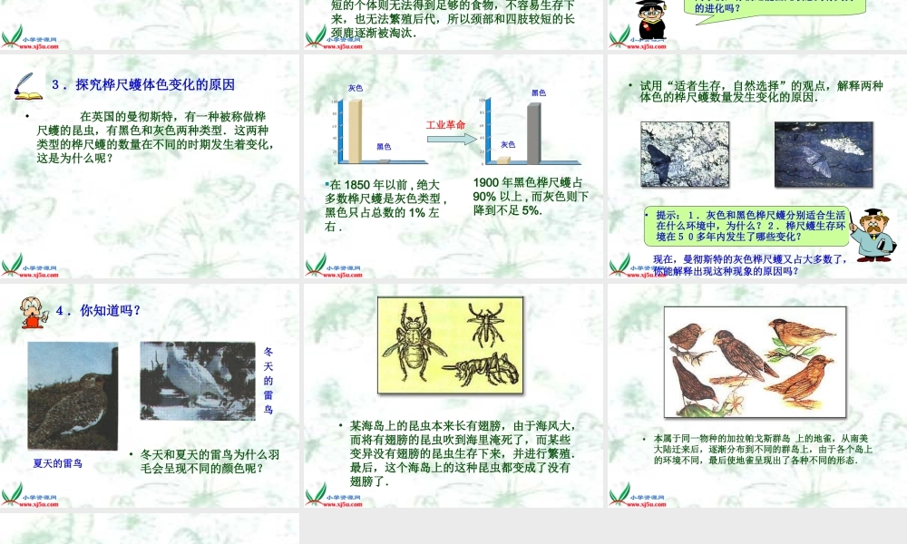 冀教小学科学五下册《12生物进化的秘密》ppt课件【加微信公众号 jiaoxuewuyou 九折优惠qq 1119139686】.ppt