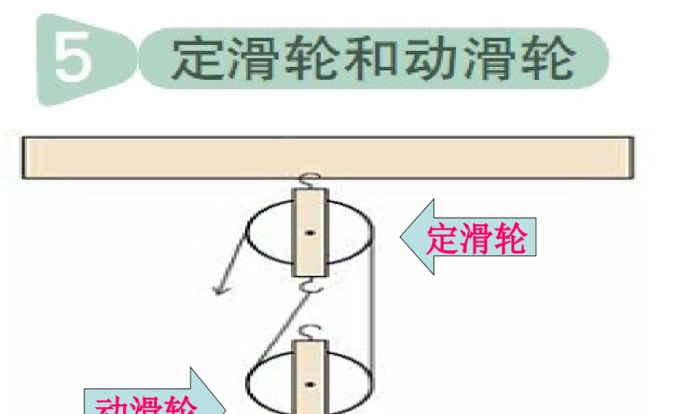 教科小学科学六上《1.5、定滑轮和动滑轮》PPT课件(5)【加微信公众号 jiaoxuewuyou 九折优惠 qq 1119139686】.ppt