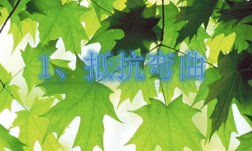 教科小学科学六上《2.1、抵抗弯曲》PPT课件(3)【加微信公众号 jiaoxuewuyou 九折优惠 qq 1119139686】.ppt