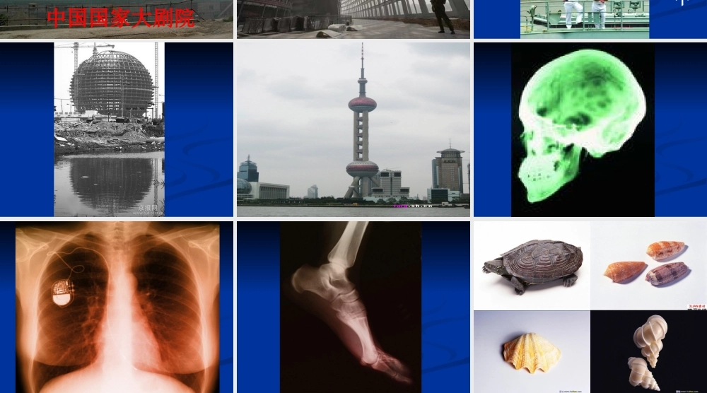 教科小学科学六上《2.4、找拱形》PPT课件(2)【加微信公众号 jiaoxuewuyou 九折优惠 qq 1119139686】.ppt