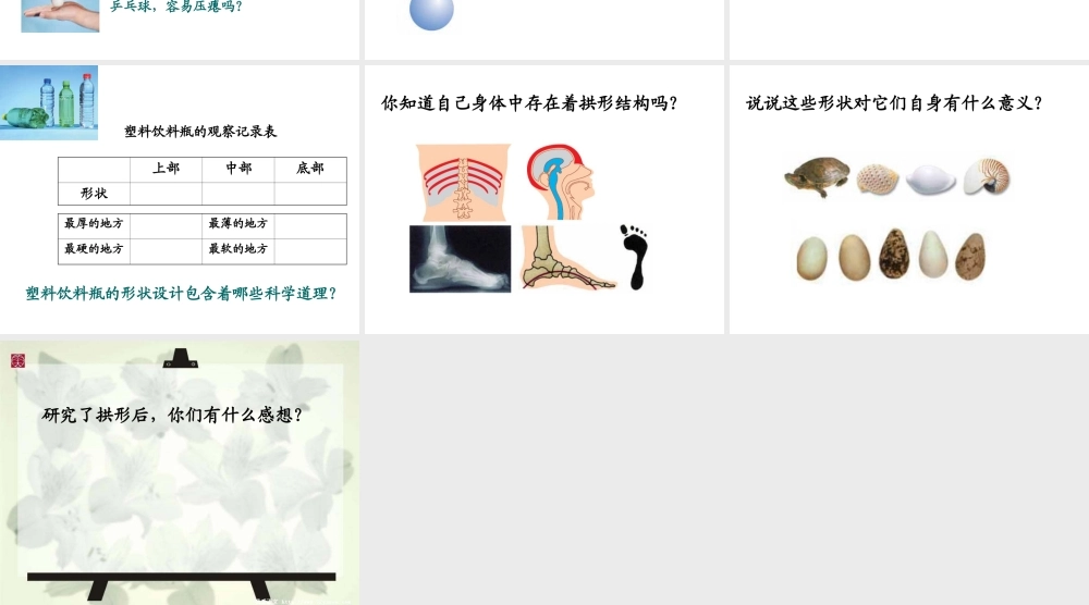 教科小学科学六上《2.4、找拱形》PPT课件(5)【加微信公众号 jiaoxuewuyou 九折优惠 qq 1119139686】.ppt