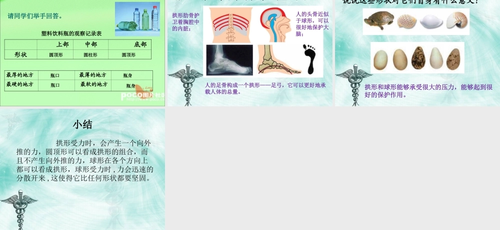 教科小学科学六上《2.4、找拱形》PPT课件(6)【加微信公众号 jiaoxuewuyou 九折优惠 qq 1119139686】.ppt