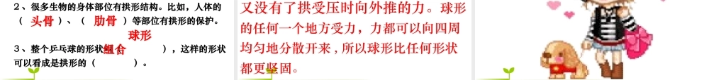 教科小学科学六上《2.4、找拱形》PPT课件(3)【加微信公众号 jiaoxuewuyou 九折优惠 qq 1119139686】.ppt