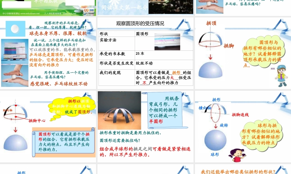 教科小学科学六上《2.4、找拱形》PPT课件(7)【加微信公众号 jiaoxuewuyou 九折优惠 qq 1119139686】.ppt