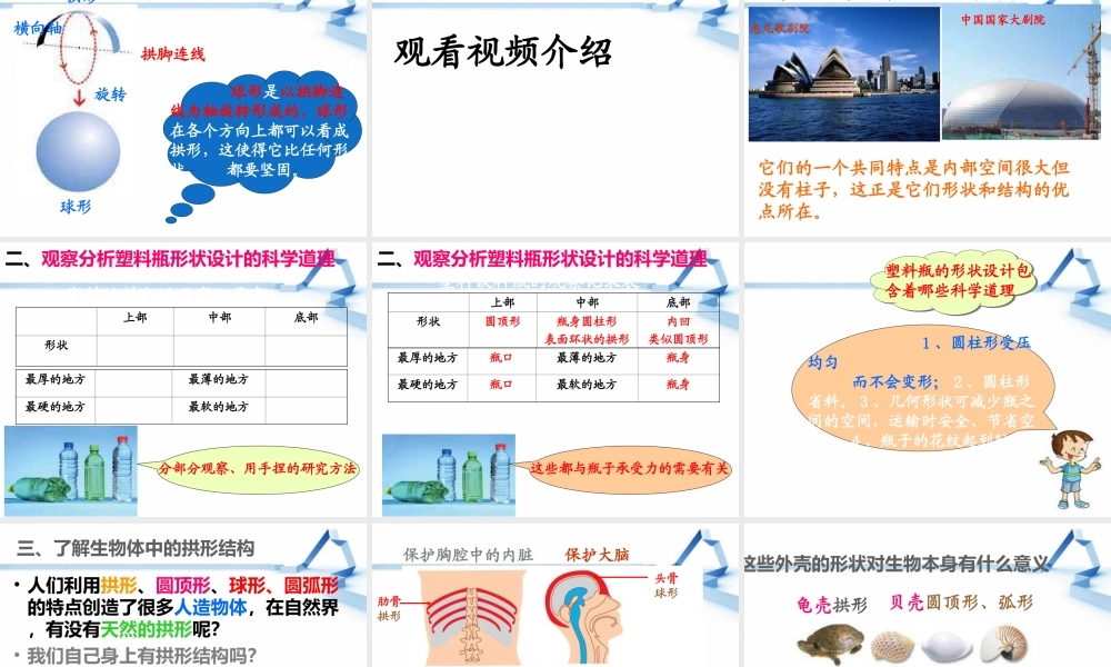 教科小学科学六上《2.4、找拱形》PPT课件(7)【加微信公众号 jiaoxuewuyou 九折优惠 qq 1119139686】.ppt