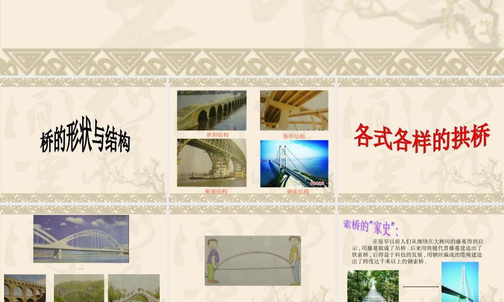 教科小学科学六上《2.7、桥的形状和结构》PPT课件(11)【加微信公众号 jiaoxuewuyou 九折优惠 qq 1119139686】.ppt