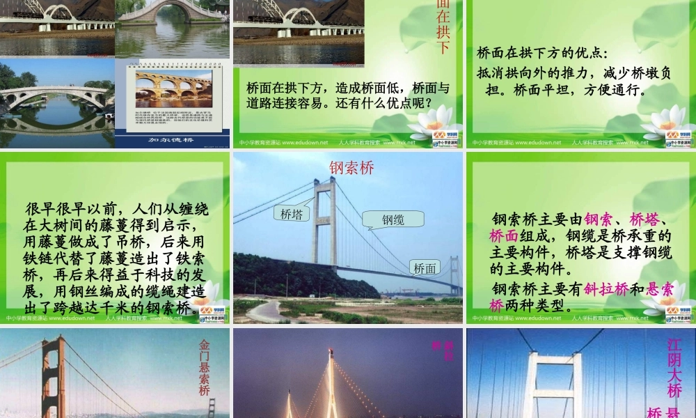 教科小学科学六上《2.7、桥的形状和结构》PPT课件(3)【加微信公众号 jiaoxuewuyou 九折优惠 qq 1119139686】.ppt