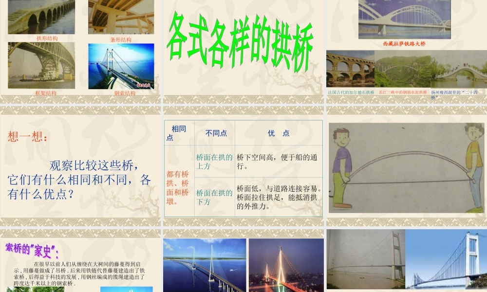 教科小学科学六上《2.7、桥的形状和结构》PPT课件(12)【加微信公众号 jiaoxuewuyou 九折优惠 qq 1119139686】.ppt