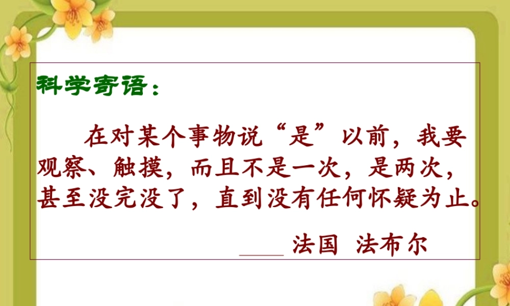 教科小学科学六上《3.2、电磁铁》PPT课件(3)【加微信公众号 jiaoxuewuyou 九折优惠 qq 1119139686】.ppt