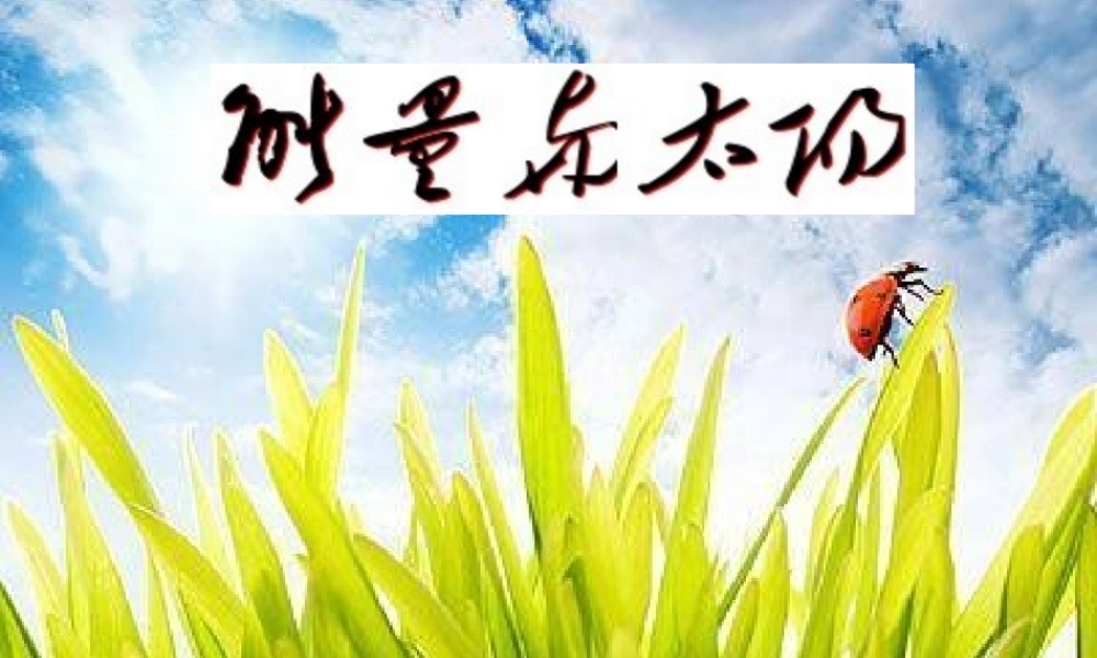 教科小学科学六上《3.8、能量与太阳》PPT课件(9)【加微信公众号 jiaoxuewuyou 九折优惠 qq 1119139686】.ppt