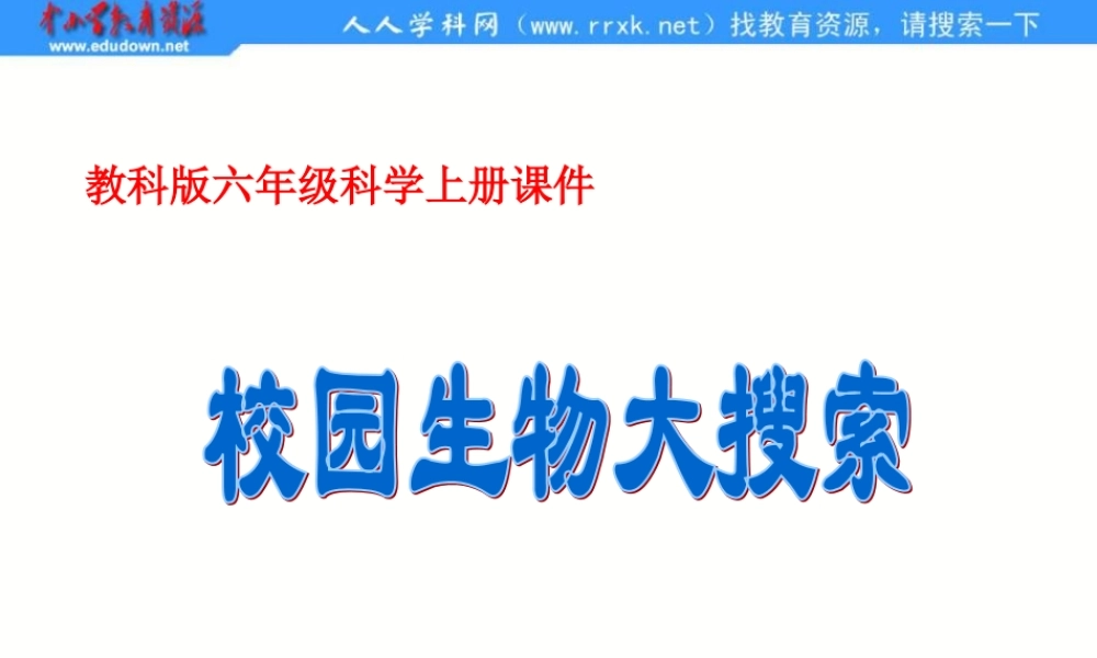 教科小学科学六上《4.1、校园生物大搜索》PPT课件(2)【加微信公众号 jiaoxuewuyou 九折优惠 qq 1119139686】.ppt