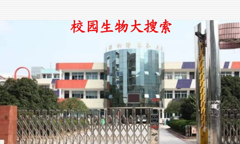 教科小学科学六上《4.1、校园生物大搜索》PPT课件(1)【加微信公众号 jiaoxuewuyou 九折优惠 qq 1119139686】.ppt
