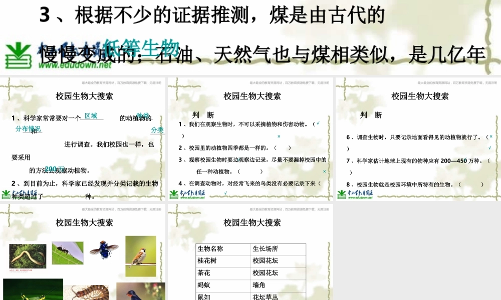 教科小学科学六上《4.1、校园生物大搜索》PPT课件(3)【加微信公众号 jiaoxuewuyou 九折优惠 qq 1119139686】.ppt