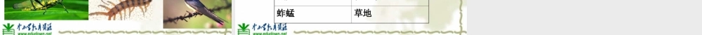 教科小学科学六上《4.1、校园生物大搜索》PPT课件(3)【加微信公众号 jiaoxuewuyou 九折优惠 qq 1119139686】.ppt