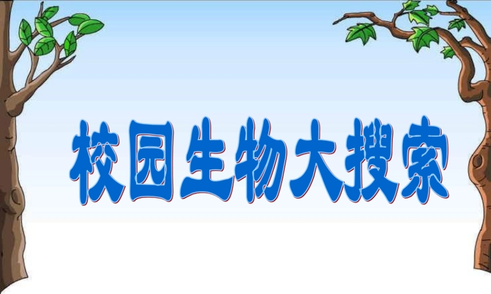 教科小学科学六上《4.1、校园生物大搜索》PPT课件(4)【加微信公众号 jiaoxuewuyou 九折优惠 qq 1119139686】.ppt