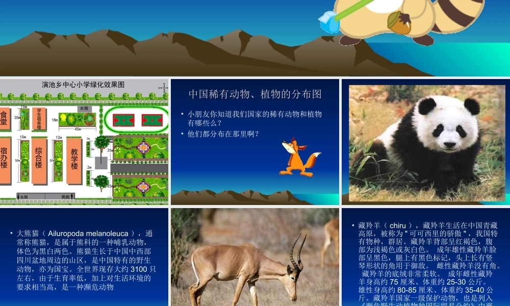 教科小学科学六上《4.1、校园生物大搜索》PPT课件(5)【加微信公众号 jiaoxuewuyou 九折优惠 qq 1119139686】.ppt