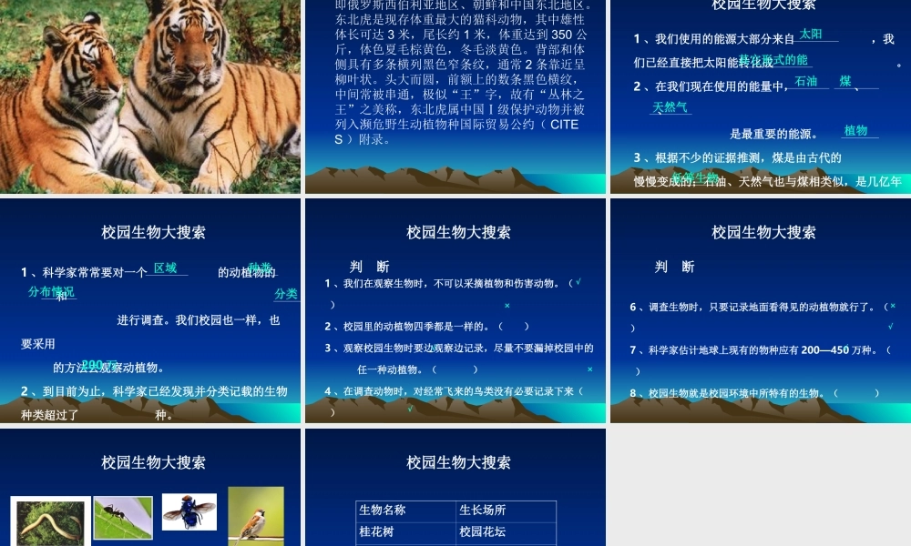 教科小学科学六上《4.1、校园生物大搜索》PPT课件(5)【加微信公众号 jiaoxuewuyou 九折优惠 qq 1119139686】.ppt