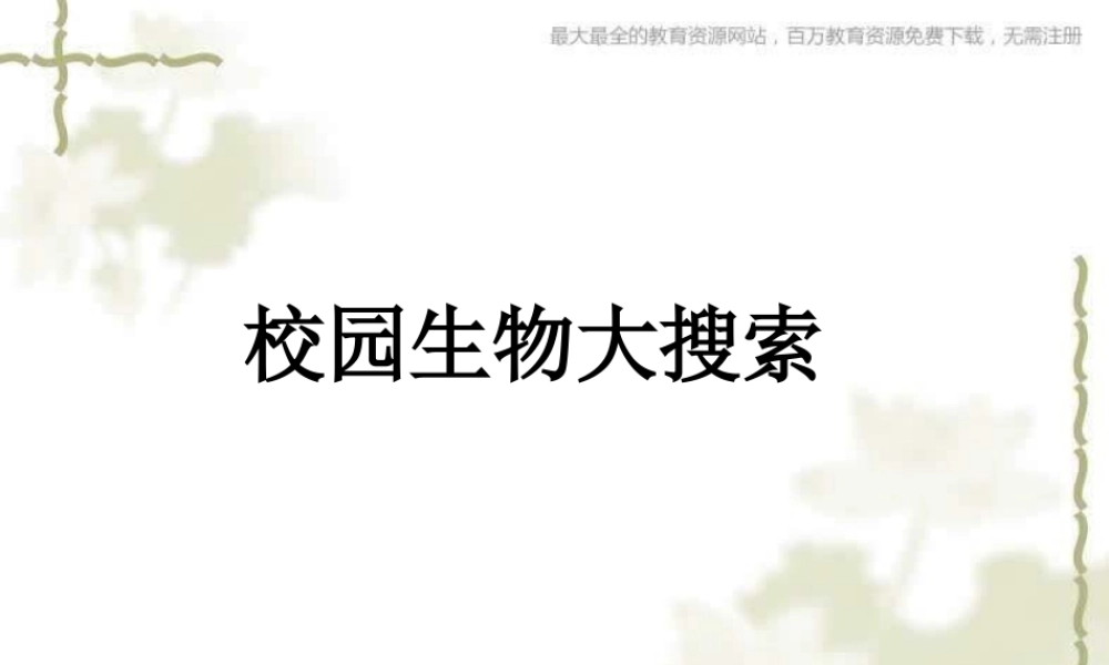 教科小学科学六上《4.1、校园生物大搜索》PPT课件(8)【加微信公众号 jiaoxuewuyou 九折优惠 qq 1119139686】.ppt