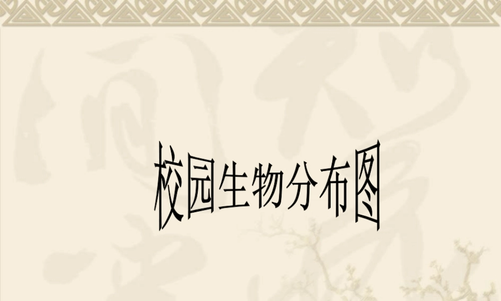 教科小学科学六上《4.2、校园生物分布图》PPT课件(2)【加微信公众号 jiaoxuewuyou 九折优惠 qq 1119139686】.ppt