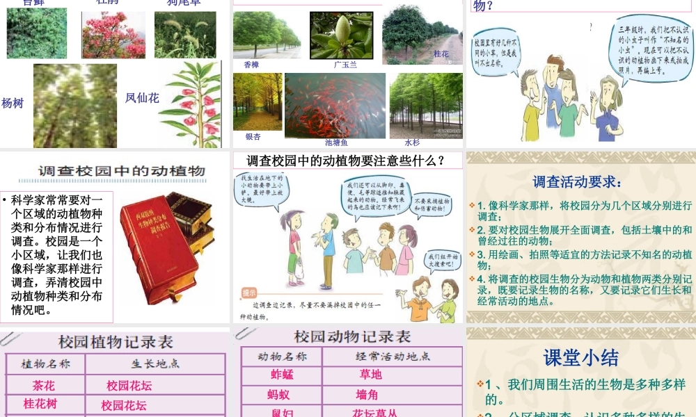 教科小学科学六上《4.1、校园生物大搜索》PPT课件(6)【加微信公众号 jiaoxuewuyou 九折优惠 qq 1119139686】.ppt
