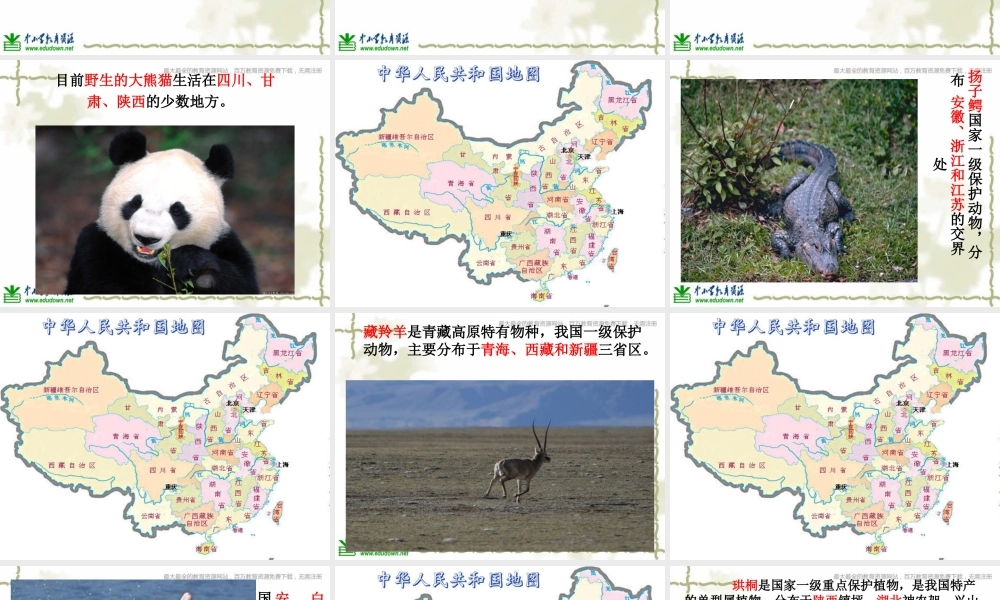 教科小学科学六上《4.2、校园生物分布图》PPT课件(3)【加微信公众号 jiaoxuewuyou 九折优惠 qq 1119139686】.ppt