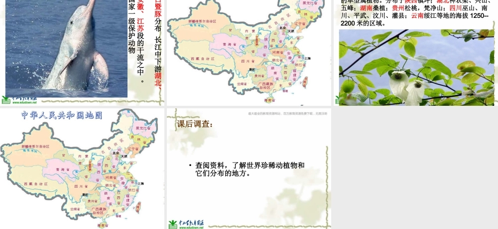 教科小学科学六上《4.2、校园生物分布图》PPT课件(3)【加微信公众号 jiaoxuewuyou 九折优惠 qq 1119139686】.ppt