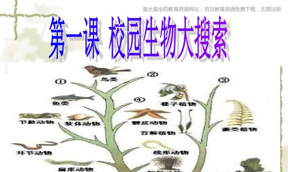 教科小学科学六上《4.1、校园生物大搜索》PPT课件(9)【加微信公众号 jiaoxuewuyou 九折优惠 qq 1119139686】.ppt