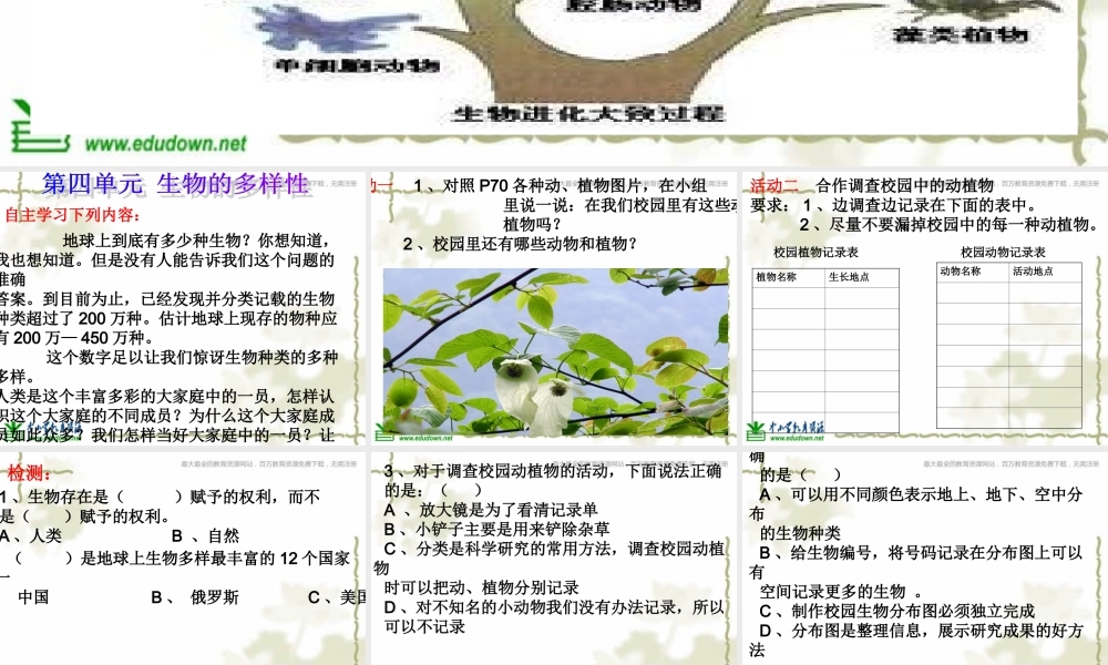 教科小学科学六上《4.1、校园生物大搜索》PPT课件(9)【加微信公众号 jiaoxuewuyou 九折优惠 qq 1119139686】.ppt