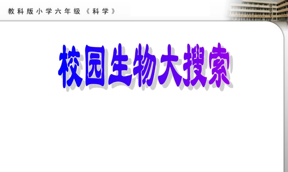 教科小学科学六上《4.1、校园生物大搜索》PPT课件(10)【加微信公众号 jiaoxuewuyou 九折优惠 qq 1119139686】.ppt