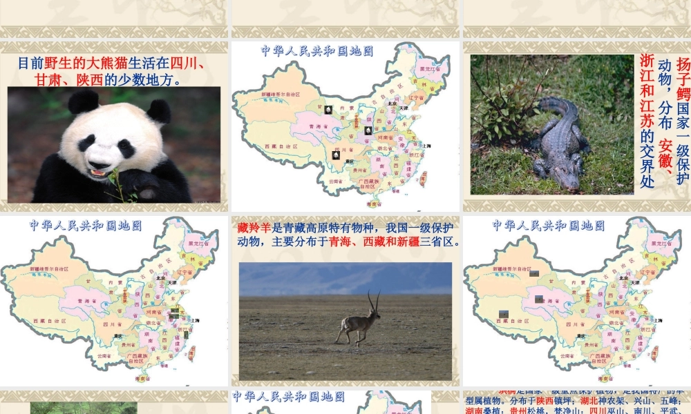 教科小学科学六上《4.2、校园生物分布图》PPT课件(1)【加微信公众号 jiaoxuewuyou 九折优惠 qq 1119139686】.ppt