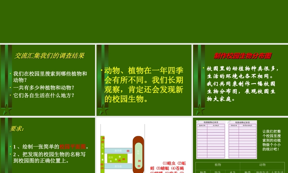 教科小学科学六上《4.2、校园生物分布图》PPT课件(6)【加微信公众号 jiaoxuewuyou 九折优惠 qq 1119139686】.ppt
