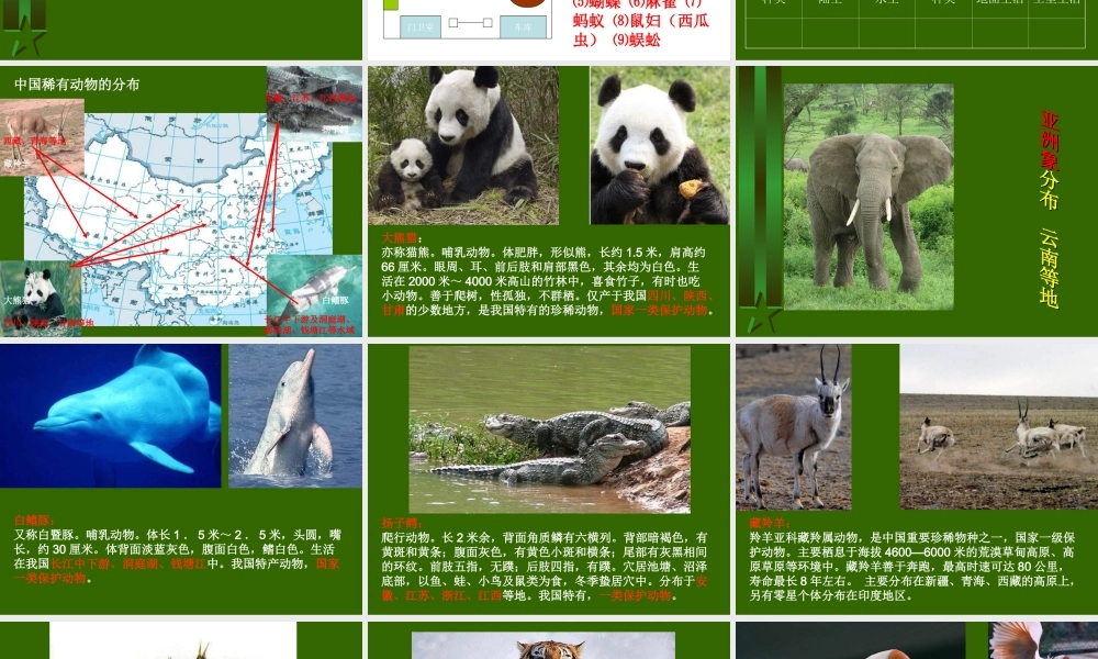 教科小学科学六上《4.2、校园生物分布图》PPT课件(6)【加微信公众号 jiaoxuewuyou 九折优惠 qq 1119139686】.ppt