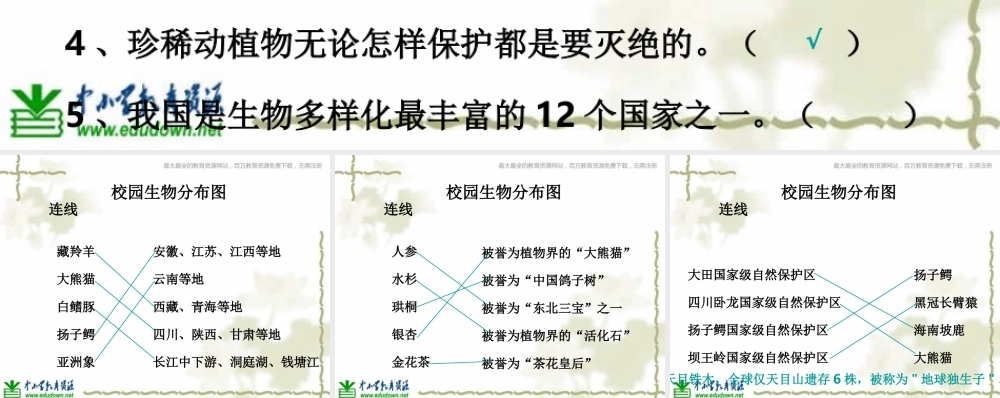 教科小学科学六上《4.2、校园生物分布图》PPT课件(4)【加微信公众号 jiaoxuewuyou 九折优惠 qq 1119139686】.ppt