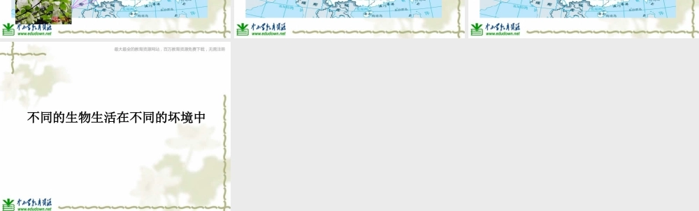教科小学科学六上《4.2、校园生物分布图》PPT课件(5)【加微信公众号 jiaoxuewuyou 九折优惠 qq 1119139686】.ppt