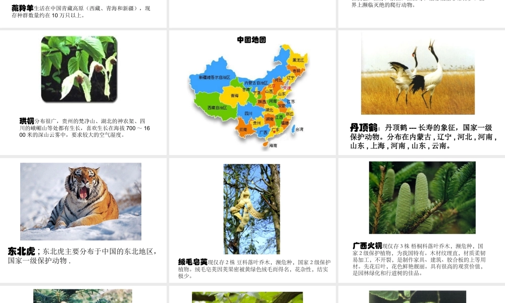 教科小学科学六上《4.2、校园生物分布图》PPT课件(7)【加微信公众号 jiaoxuewuyou 九折优惠 qq 1119139686】.ppt