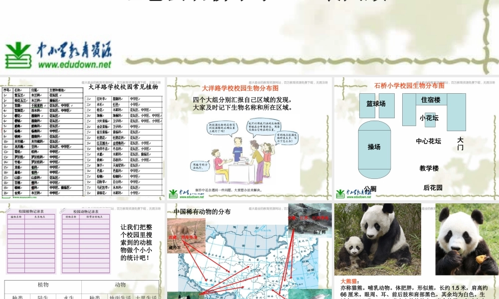 教科小学科学六上《4.2、校园生物分布图》PPT课件(8)【加微信公众号 jiaoxuewuyou 九折优惠 qq 1119139686】.ppt