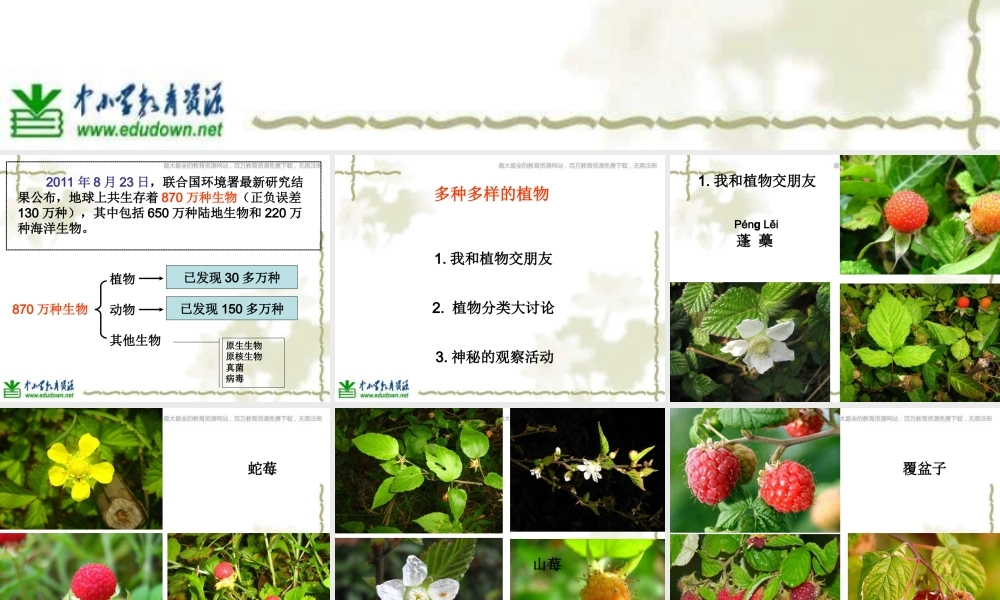 教科小学科学六上《4.3、多种多样的植物》PPT课件(10)【加微信公众号 jiaoxuewuyou 九折优惠 qq 1119139686】.ppt