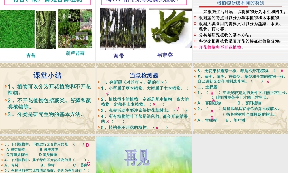 教科小学科学六上《4.3、多种多样的植物》PPT课件(5)【加微信公众号 jiaoxuewuyou 九折优惠 qq 1119139686】.ppt