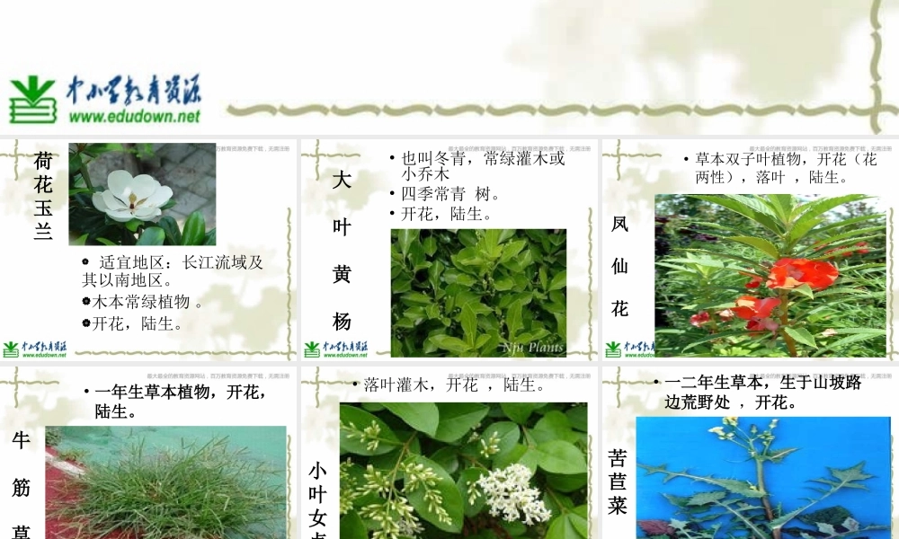 教科小学科学六上《4.3、多种多样的植物》PPT课件(3)【加微信公众号 jiaoxuewuyou 九折优惠 qq 1119139686】.ppt