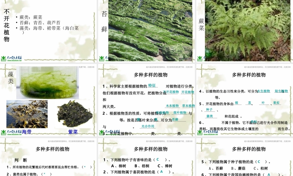 教科小学科学六上《4.3、多种多样的植物》PPT课件(3)【加微信公众号 jiaoxuewuyou 九折优惠 qq 1119139686】.ppt